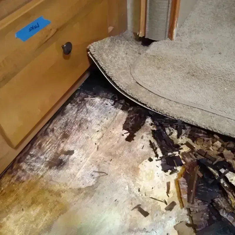 Best Wood Floor Water Damage Service in Glenwood City, WI